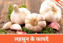 Benefits of Garlic in Hindi