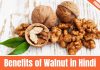 Benefits of Walnut in Hindi