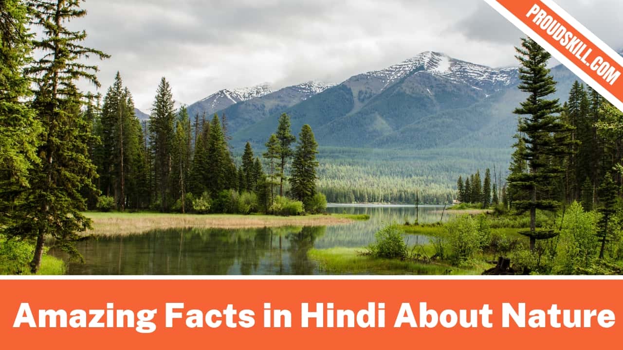 Amazing Facts in Hindi About Nature