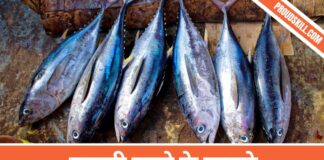 मछली खाने के फायदे